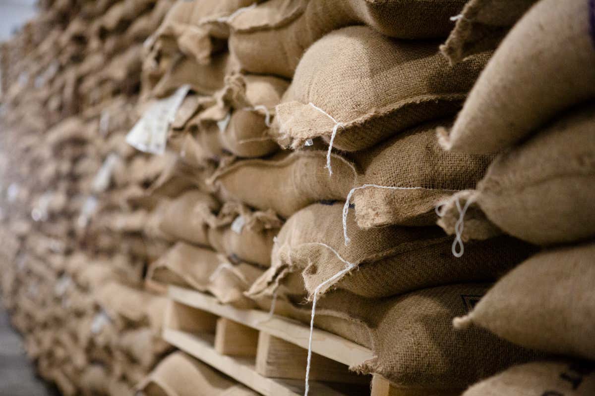 Caffè Borbone entra nel club da 300 milioni: nel 2023 ricavi in crescita del 14,3%